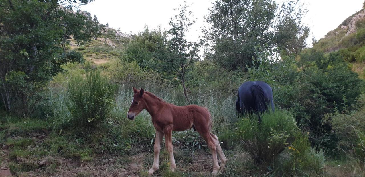 Casa Rural Carmen Luna Mallo de Luna Exteriér fotografie